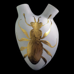 Corazón Escarabajo dorado / “El amor, como la vida, existe en el tiempo”
