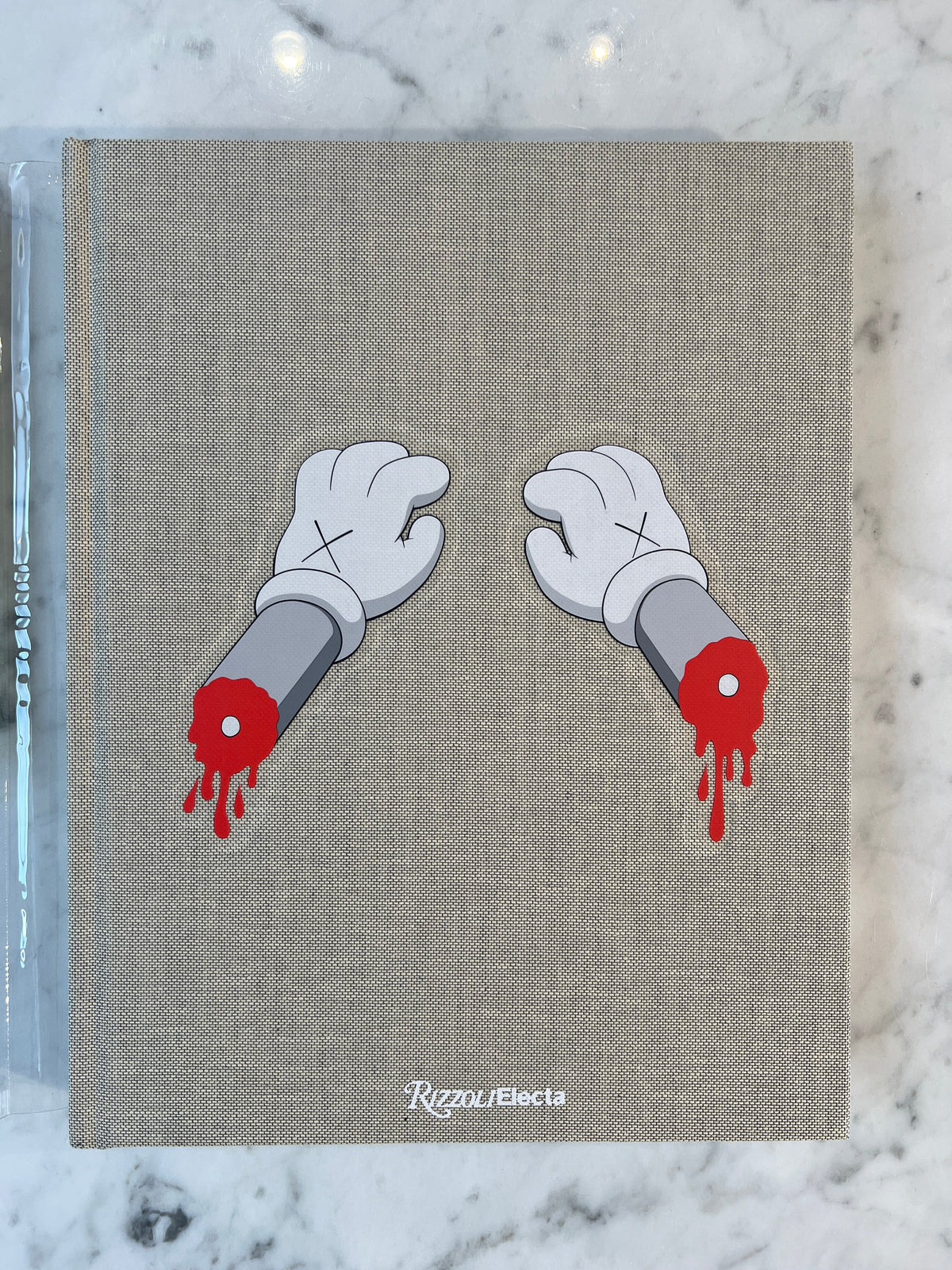 Libro Kaws