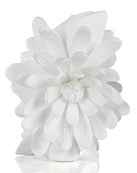 Jarron de Porcelana Cameo