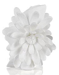 Jarron de Porcelana Cameo
