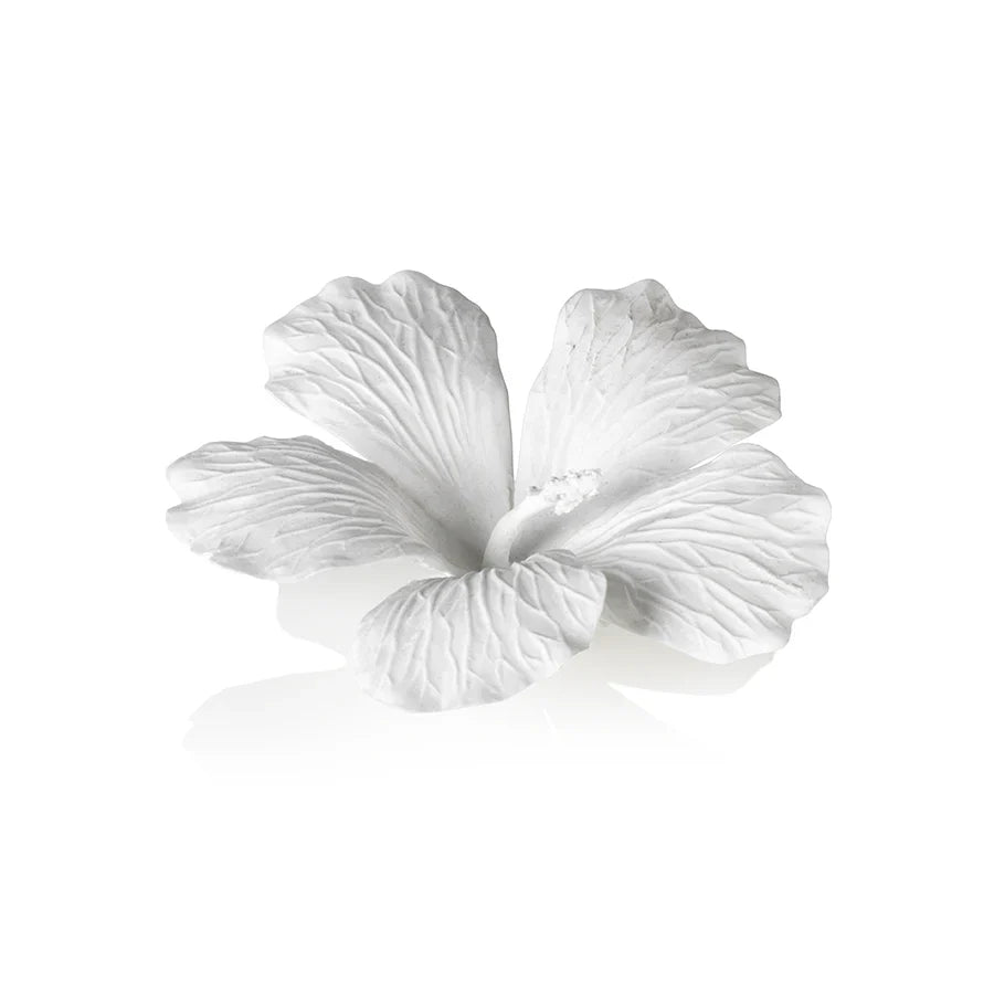 Flores de hibisco en porcelana blanca
