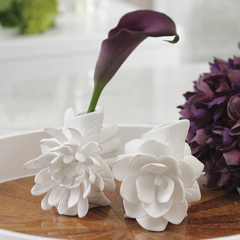 Jarron de Porcelana Cameo